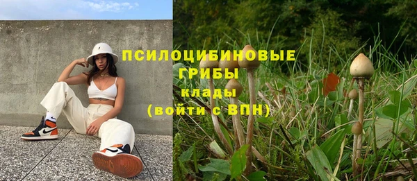 соль ск Кулебаки