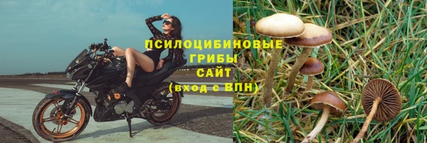 каннабис Корсаков