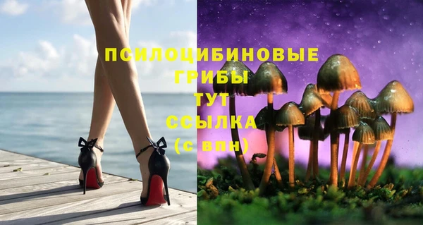 a pvp Красноперекопск