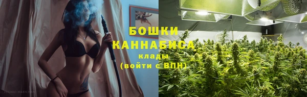 каннабис Корсаков